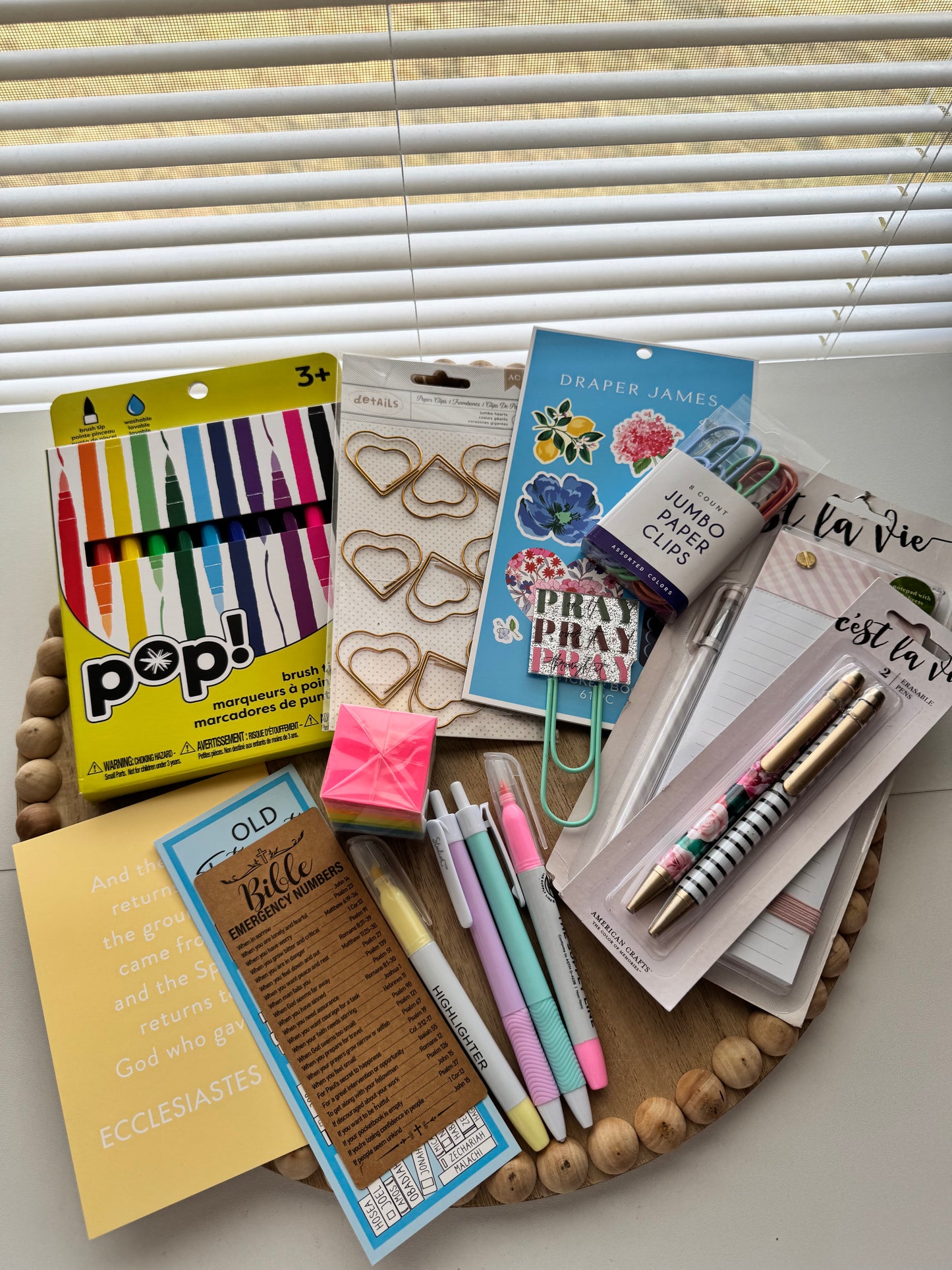 Bible Journaling Kit | CSB She Reads Truth Bible Study Tote Bundle