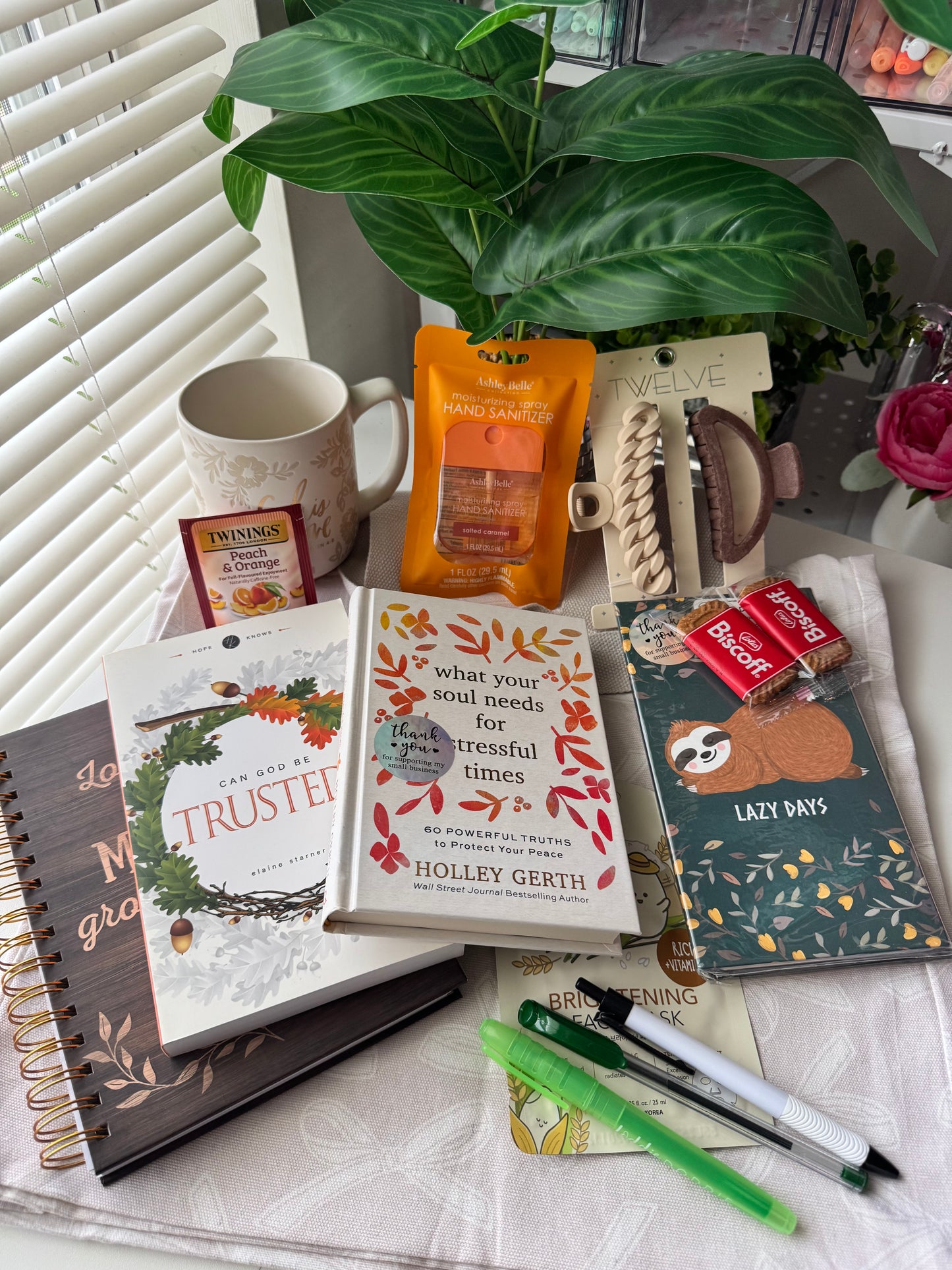 🤍 Can God Be Trusted – Canvas Tote Book Bundle ✨