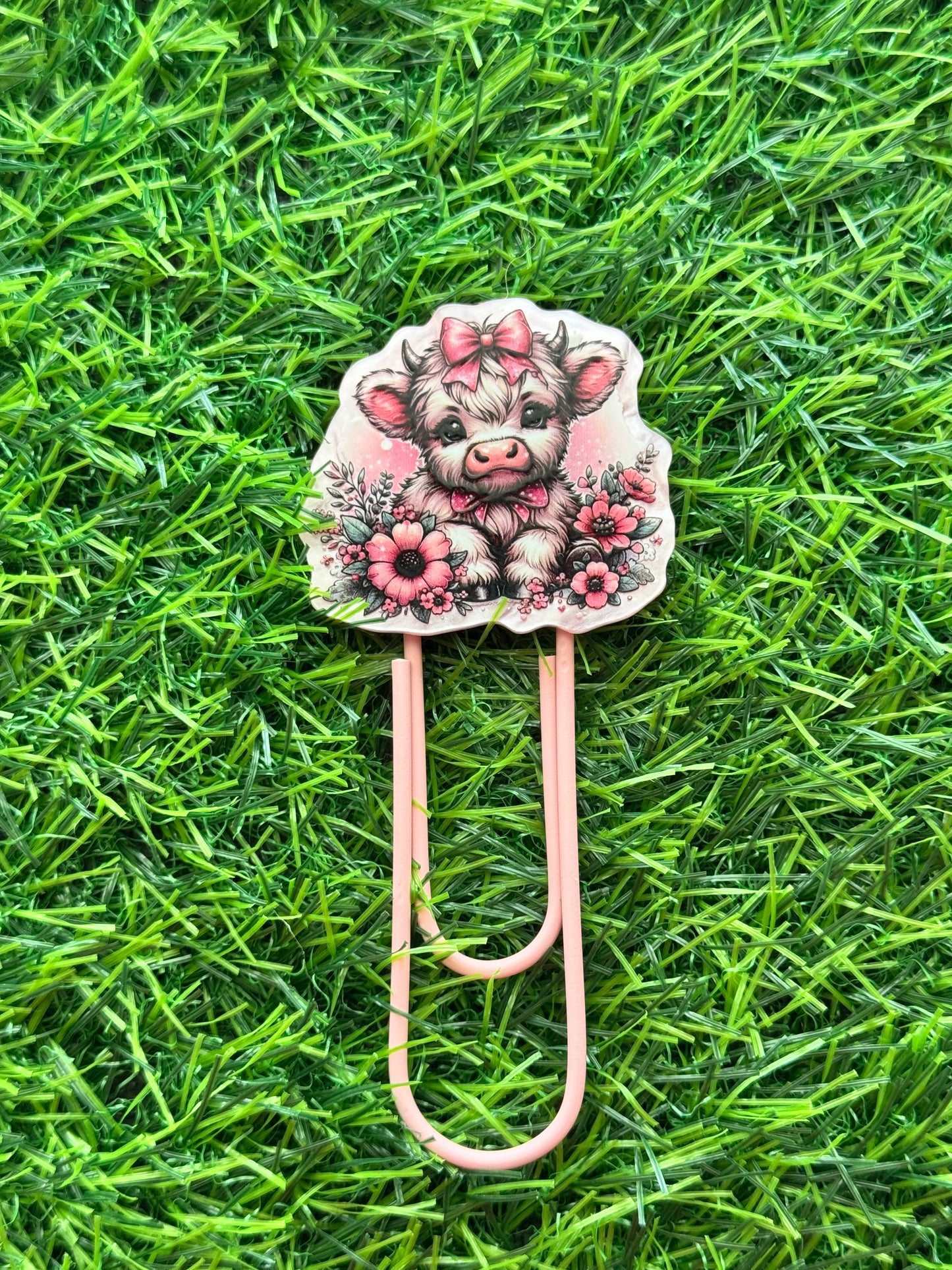 Acrylic Jumbo Paper Clip Bookmarks