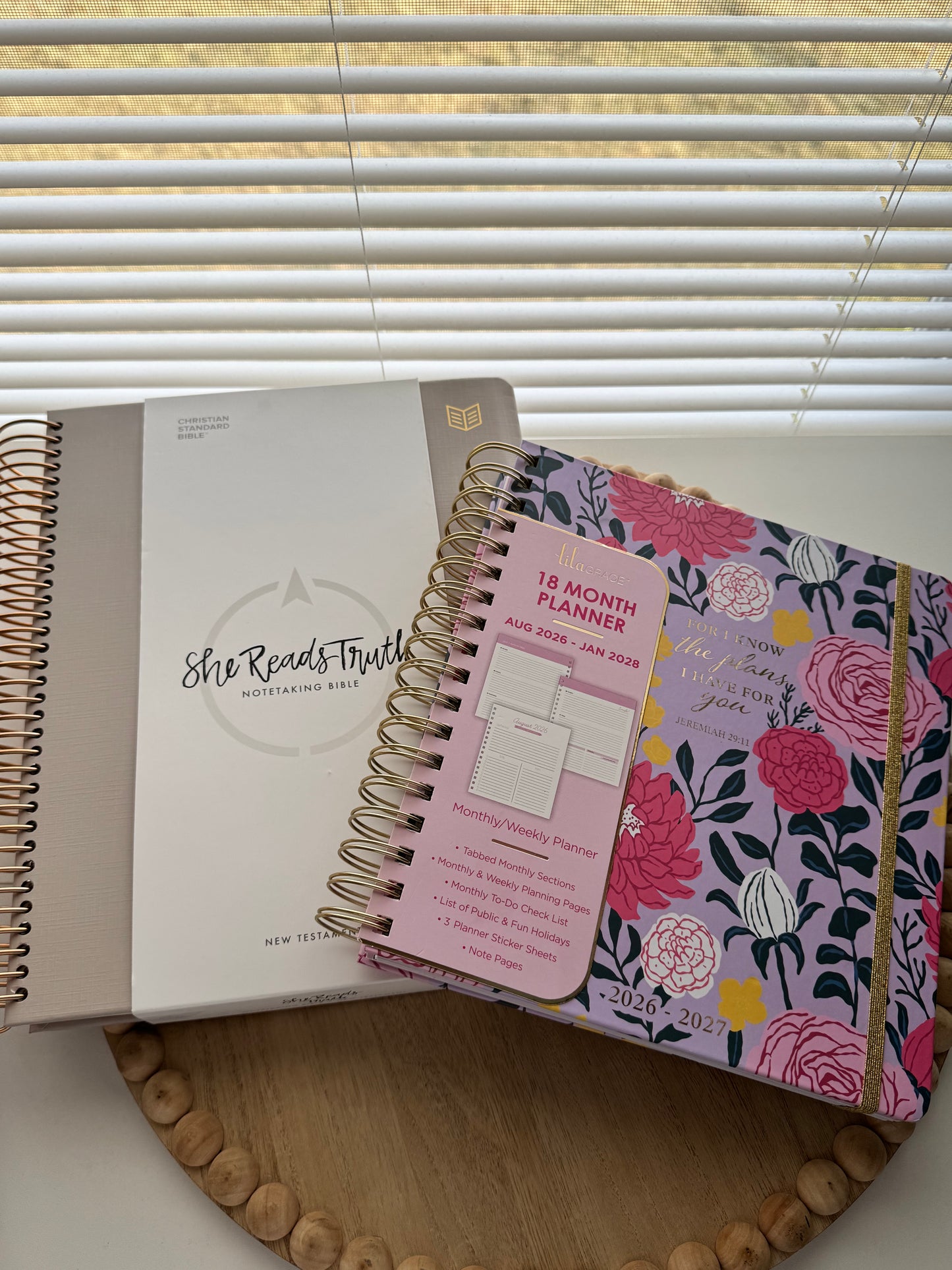 Bible Journaling Kit | CSB She Reads Truth Bible Study Tote Bundle