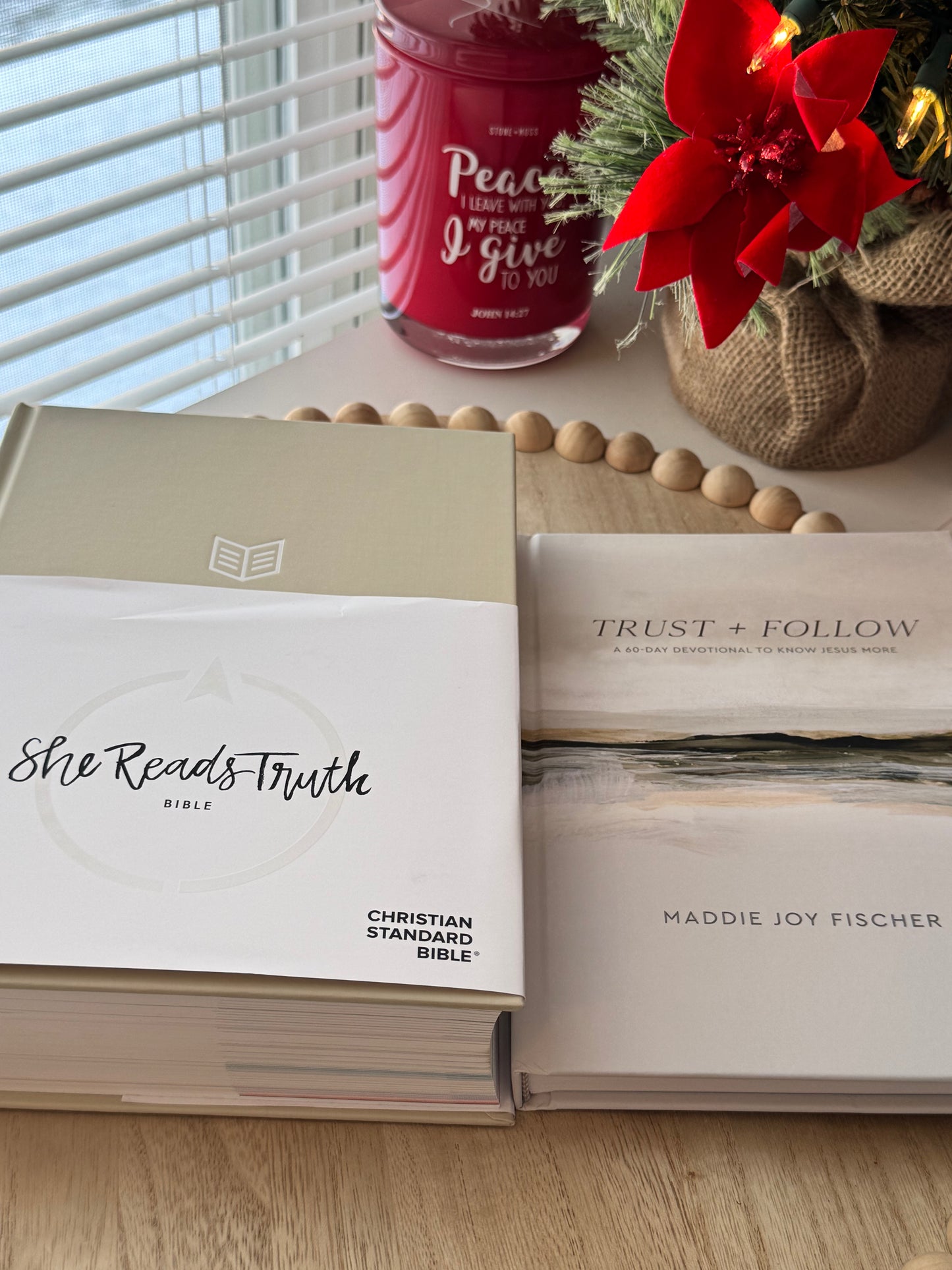 She Believes — Bible Tote Bundle