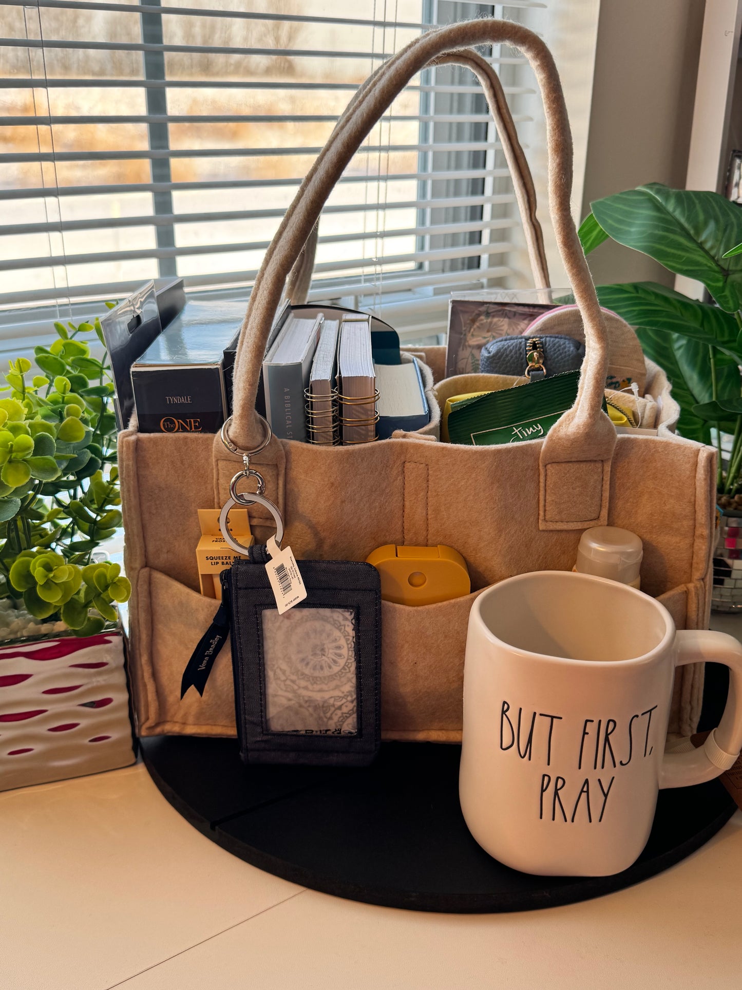 Anchored in the Word Bible Tote Bundle