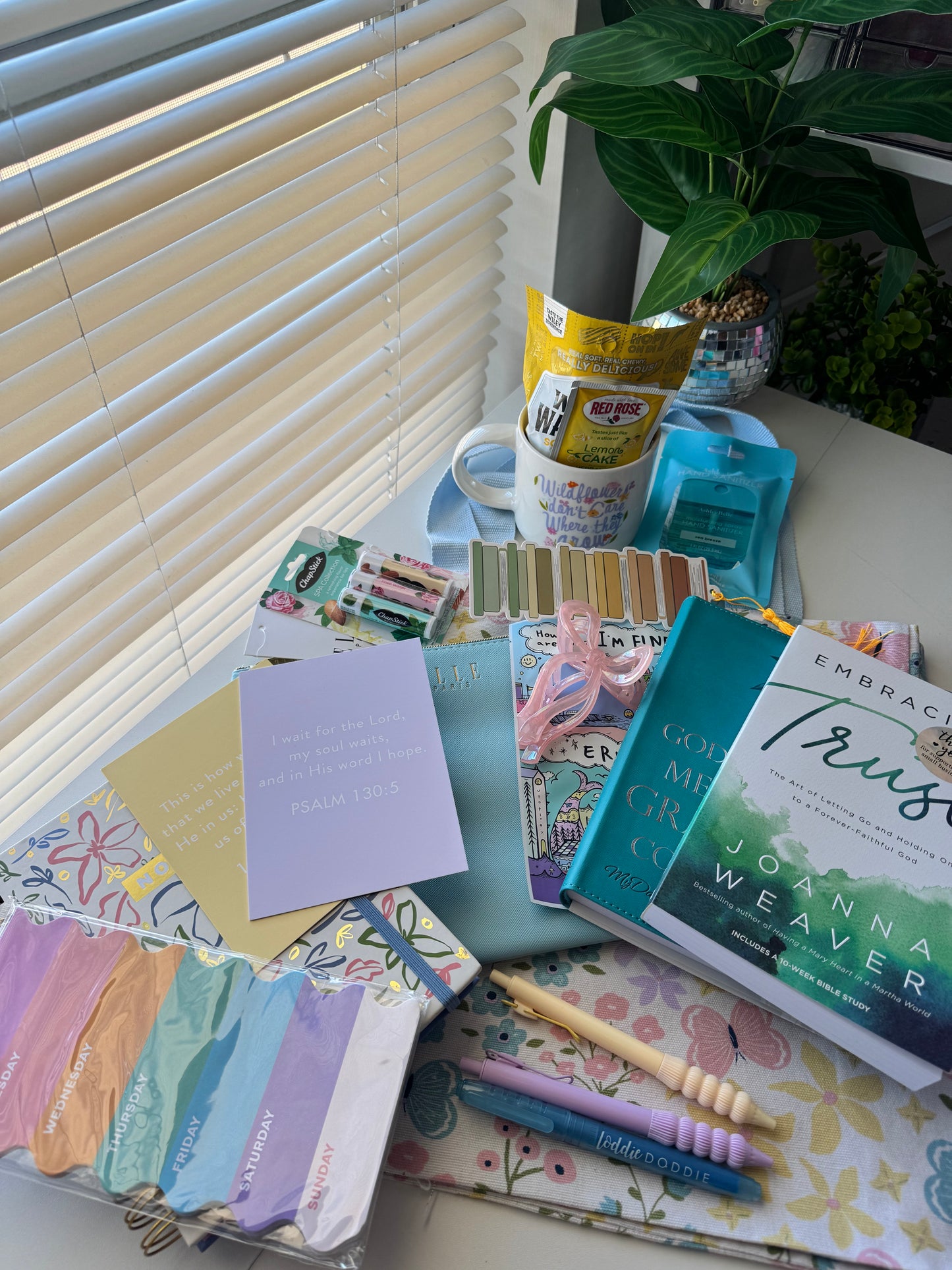 Trust & Bloom Book Bundle